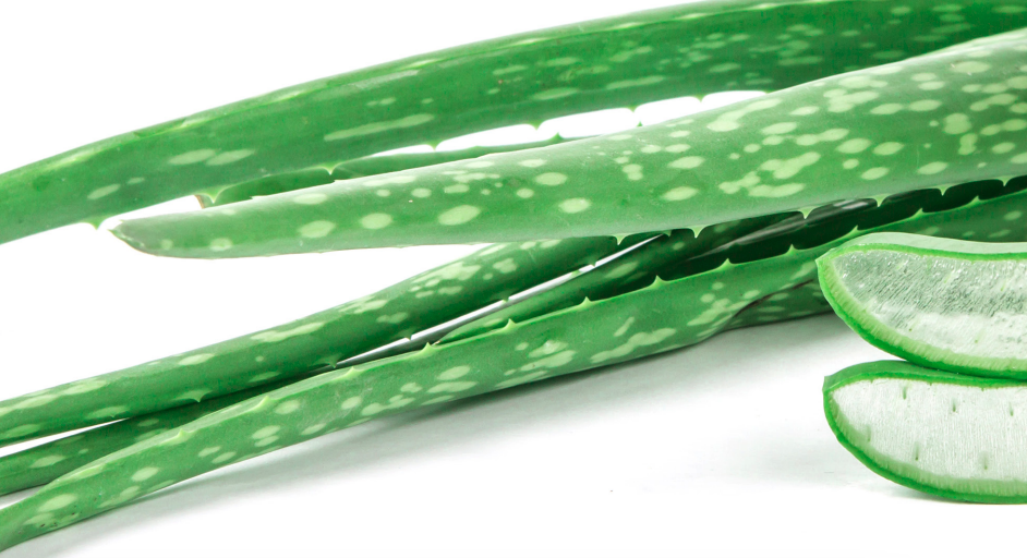 RTD ALOE VERA FUNGSIONAL RENDAH GULA
